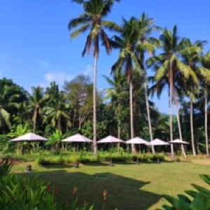 Depuis Yogyakarta, au centre de l'île de Java, on trouve à proximité le temple bouddhique de Borobudur, à l'ouest, et le temple hindouiste de Prambanan, à l'est..#Indonesia #temple #borobudur